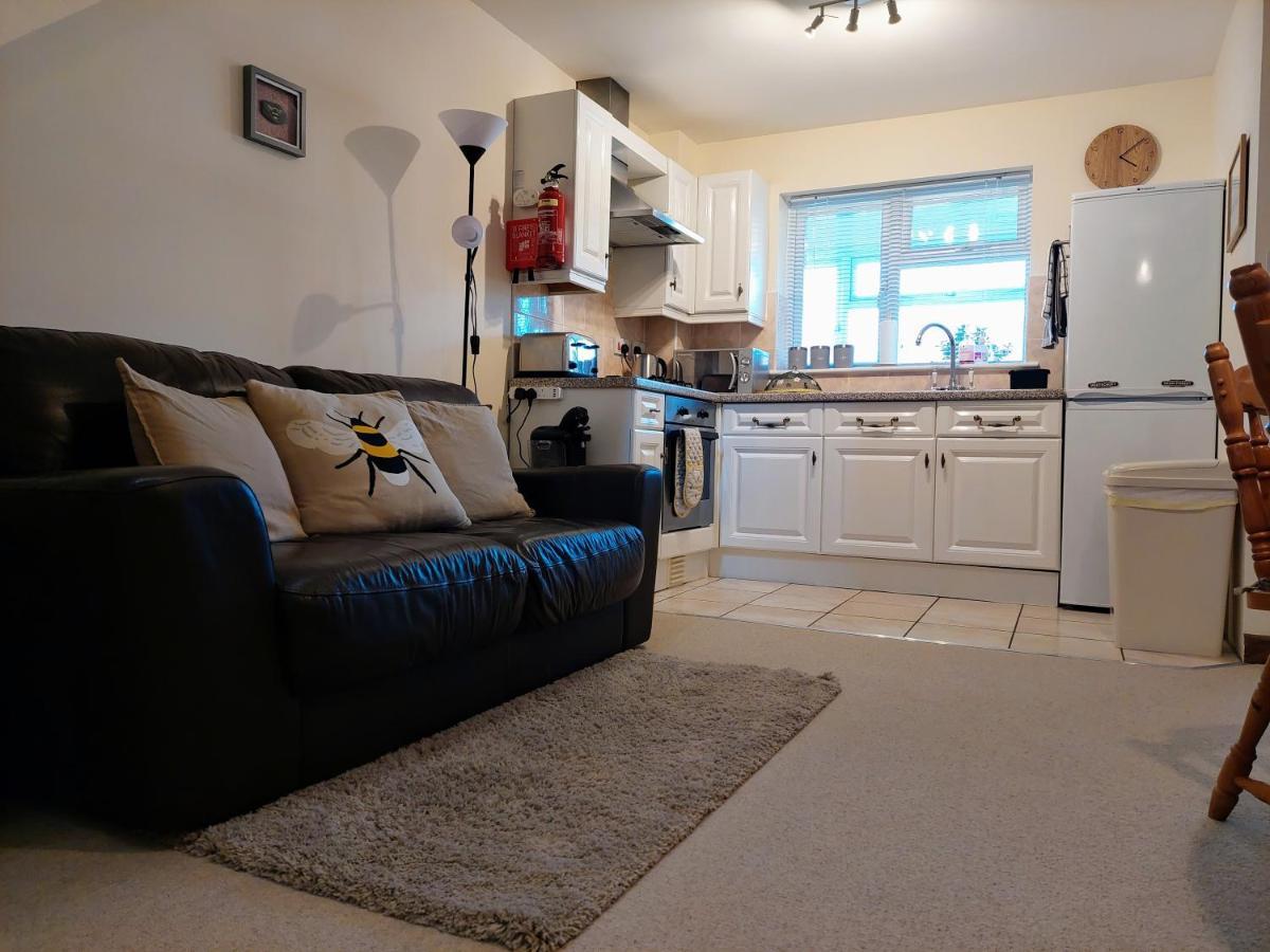 The Beehive - Self Catering In The Heart Of The Forest Of Dean Whitecroft エクステリア 写真